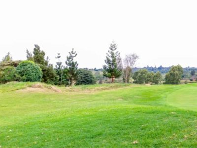 Thika Greens 1/2 acre plots